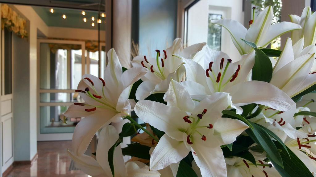 Hotel In Den Herrnwiesen فيرتهايم المظهر الخارجي الصورة